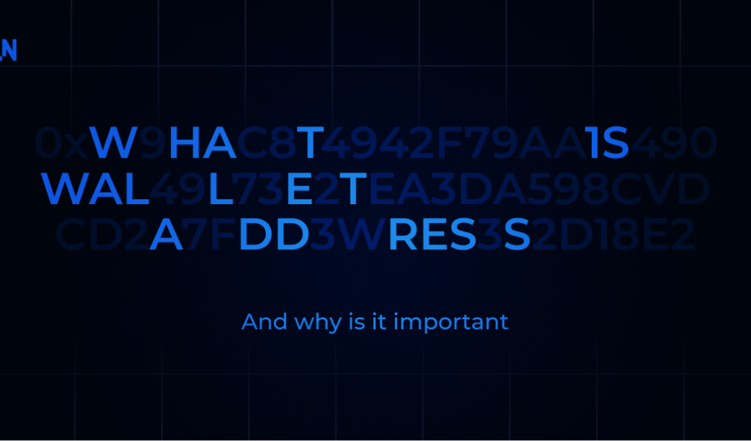 What is a Wallet Address and why is it important?